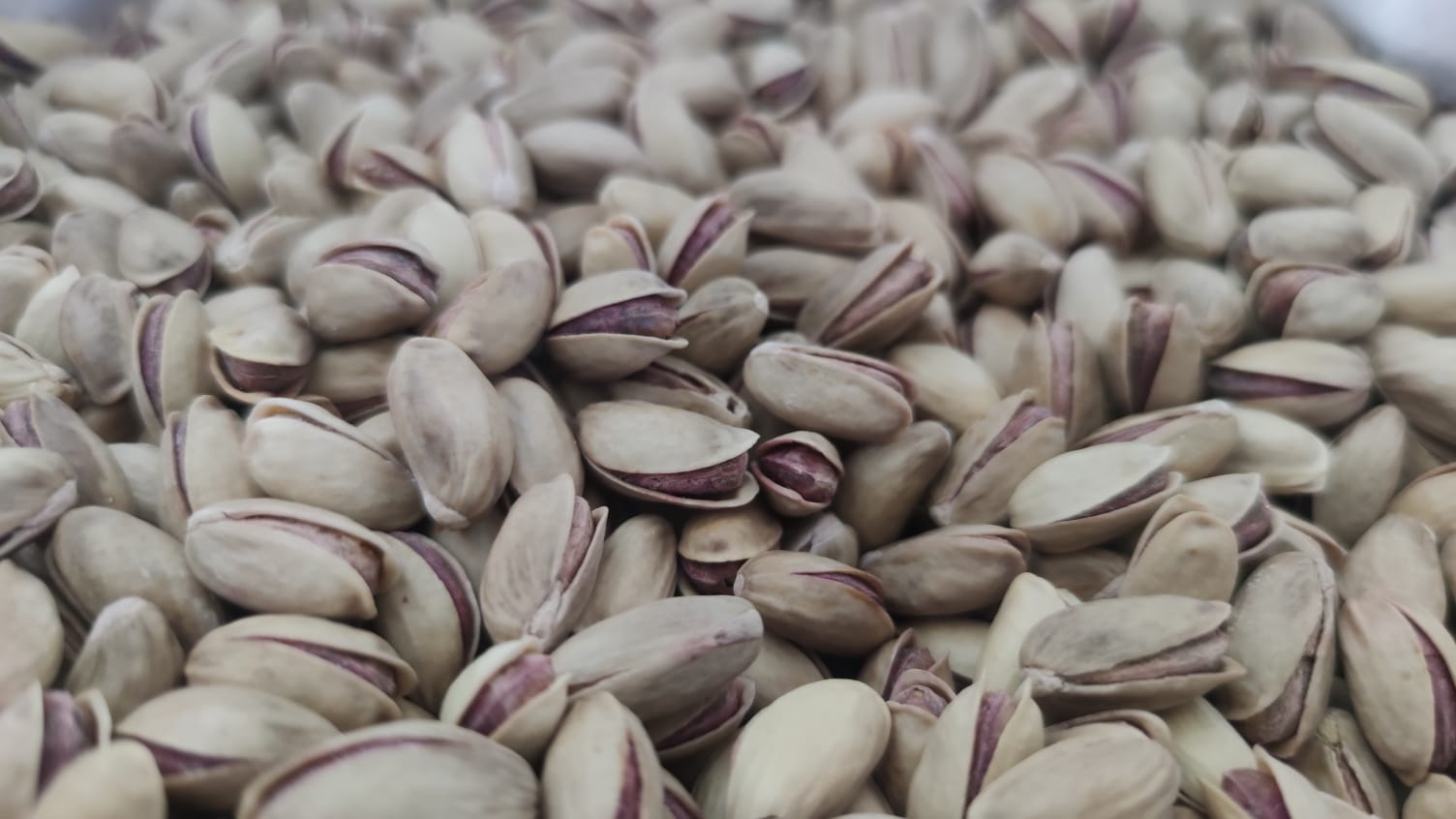 Premium Antep Pistachios